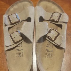 Betula (made by brickenstock)